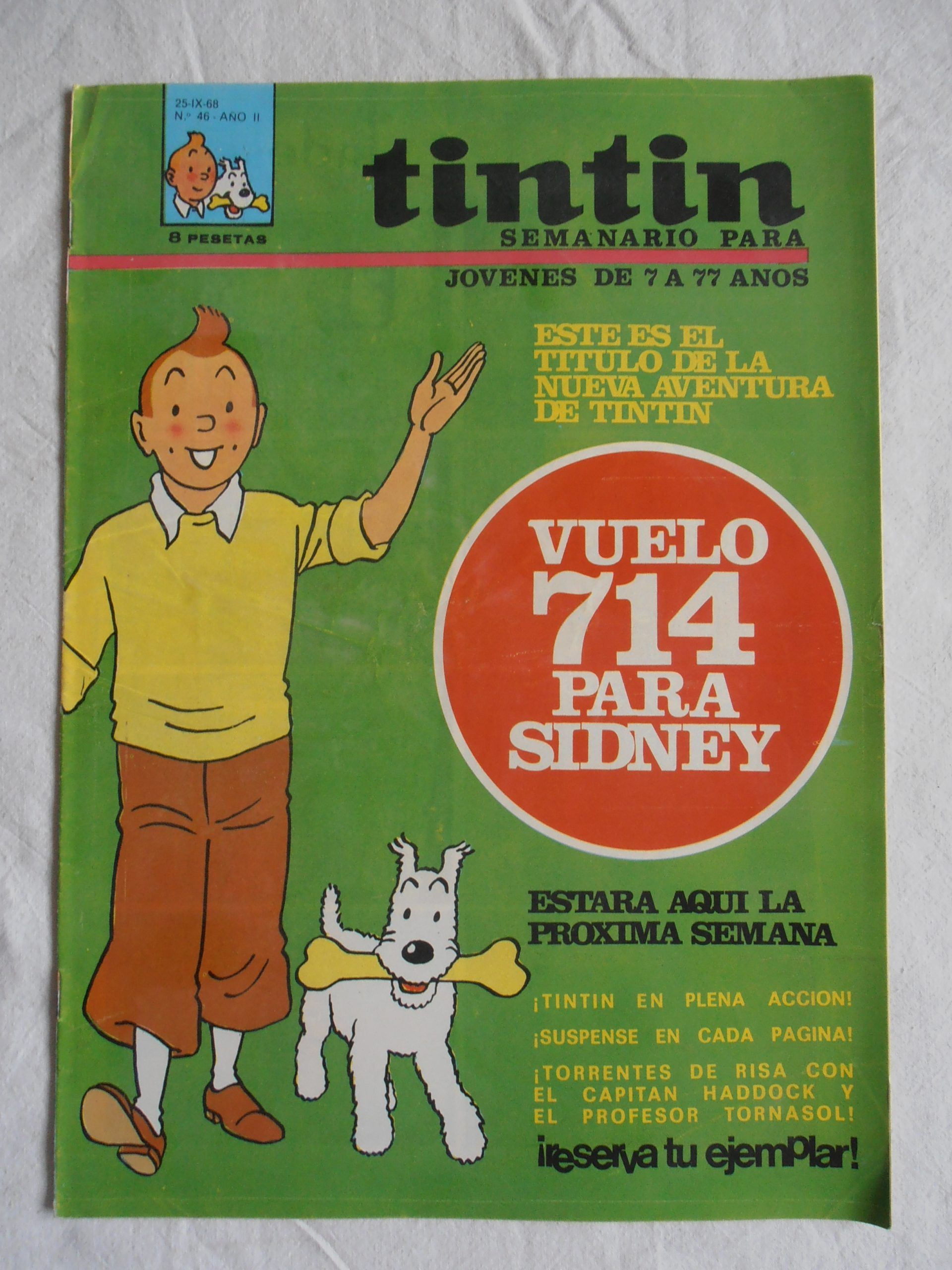 Descubre la Historia y los Personajes de Tintín | Rincón del Juguete